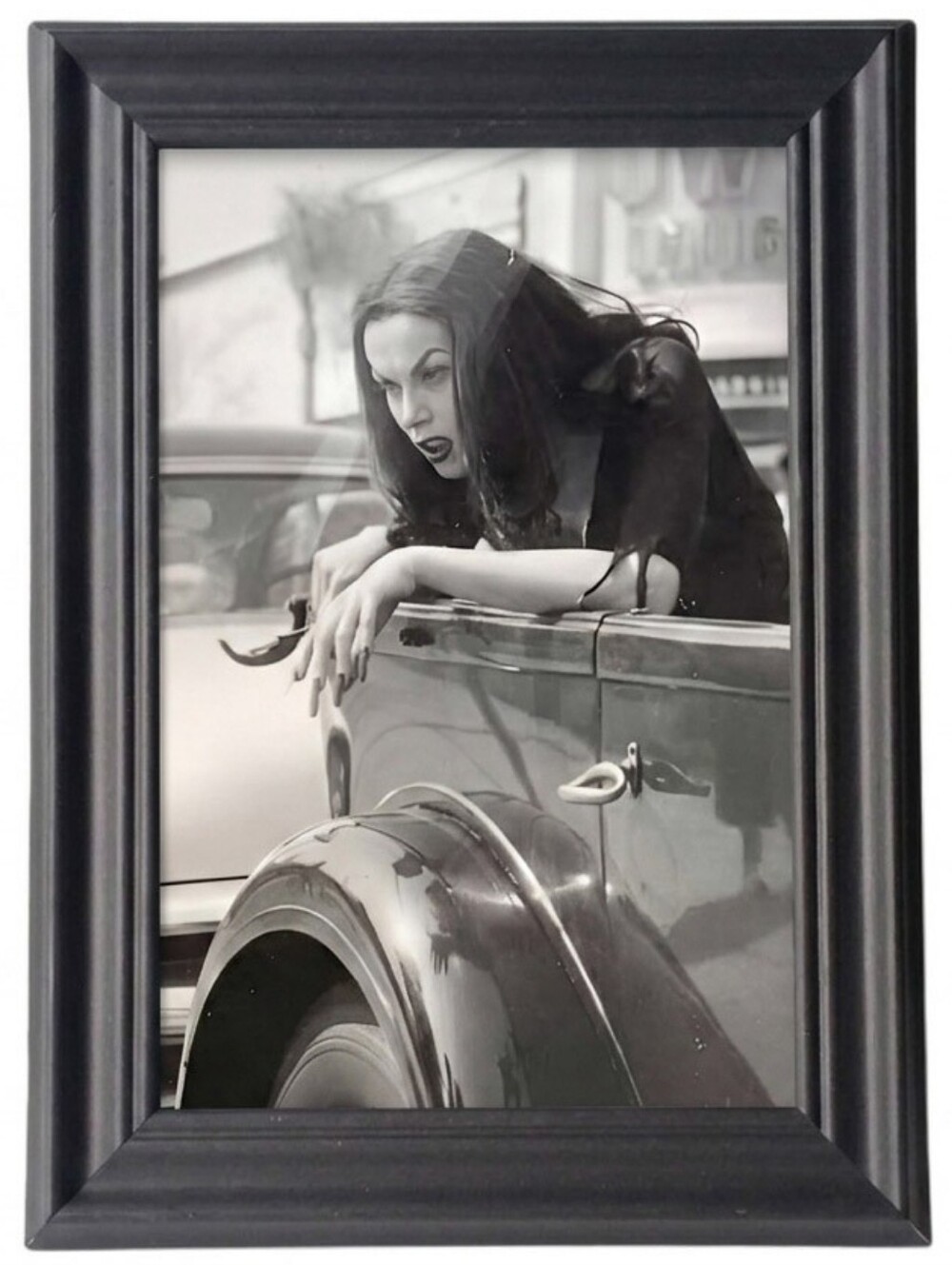 Vampira Rare Vintage Horror Gothic Punk Witchy Goth Beautiful beauty portrait